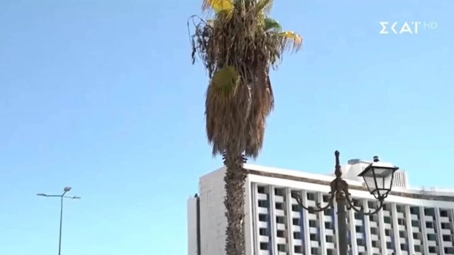 Αδιανόητα πράγματα: Φοίνικας «κρέμεται» επικίνδυνα στο πιο κεντρικό σημείο της Αθήνας (video)