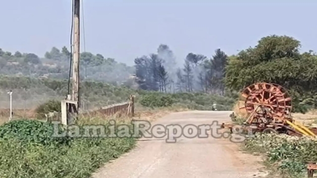 Φωτιά στις Λιβανάτες Φθιώτιδας: Άμεση κινητοποίηση της Πυροσβεστικής – Στη μάχη της κατάσβεσης και εναέρια μέσα
