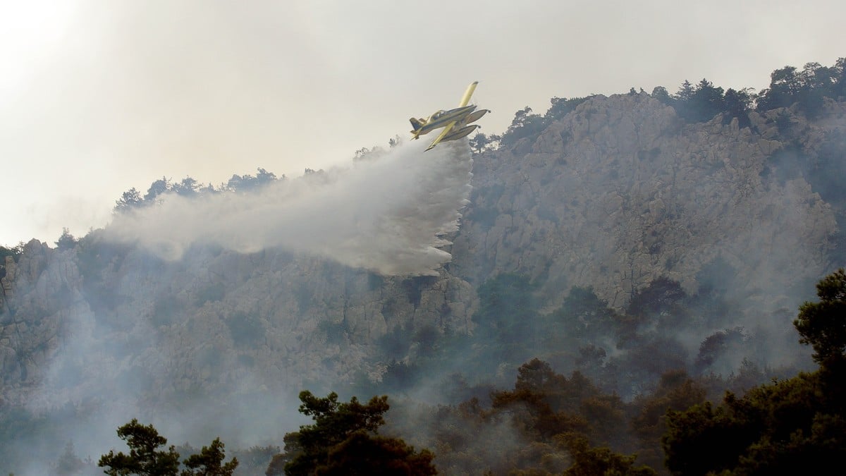 Φωτιά στον Όλυμπο: Άμεση η κινητοποίηση της Πυροσβεστικής