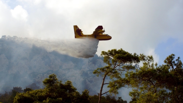 Φωτιά σε δασική έκταση στην Ξάνθη – Στη μάχη και εναέρια μέσα