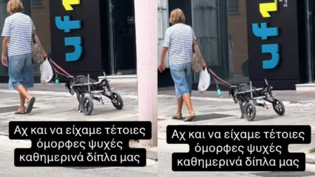 Υπάρχει ακόμη ανθρωπιά: Κυρία βγάζει βόλτα το σκυλάκι της με αναπηρικό καροτσάκι (video)