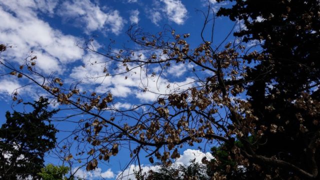 Καιρός σήμερα 24/9: Μυρίζει καλοκαιράκι με άνοδο της θερμοκρασίας – Σε ποιες περιοχές θα έχει βροχή