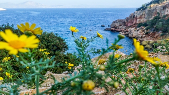 Καιρός σήμερα (3/9): Μύρισε ξανά καλοκαιράκι, άνοδος της θερμοκρασίας, λίγες τοπικές βροχές στα ορεινά