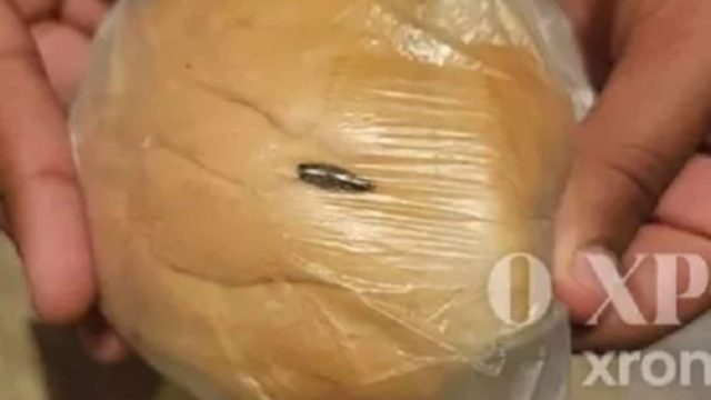 Μαθήτρια στην Κομοτηνή βρήκε κατσαρίδα μέσα στο ψωμί του σχολικού γεύματος – Η ψύχραιμη αντίδρασή της (photos)