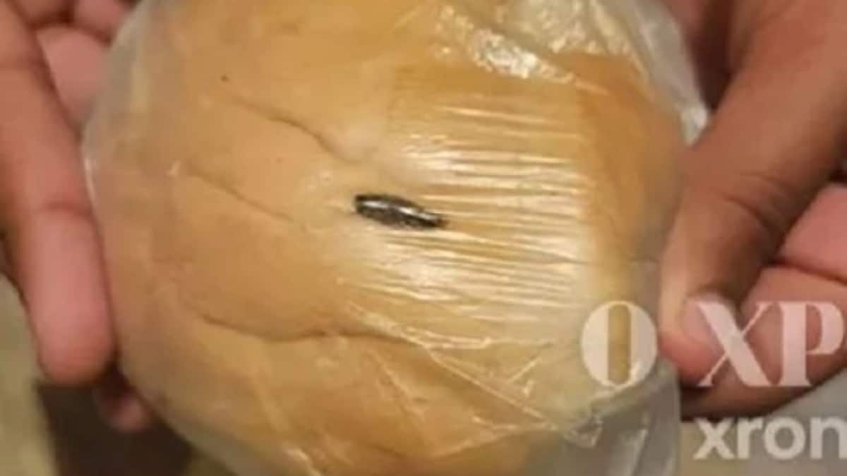 Μαθήτρια στην Κομοτηνή βρήκε κατσαρίδα μέσα στο ψωμί του σχολικού γεύματος – Η ψύχραιμη αντίδρασή της (photos)
