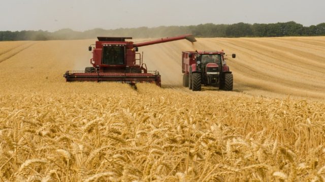 Εσύ το ήξερες; Πώς η Ρωσία κερδίζει δισεκατομμύρια πουλώντας κλεμμένο σιτάρι!