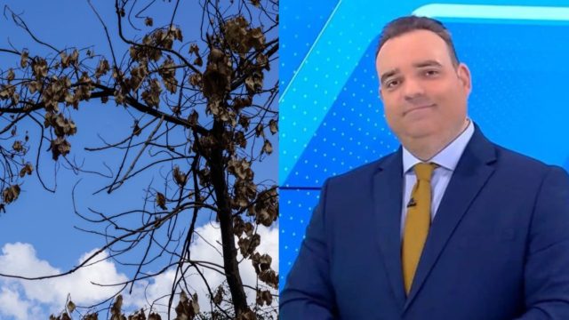 Βουτιά της θερμοκρασίας από τον Κλέαρχο Μαρουσάκη: «Ο υδράργυρος χτυπά 30αρια πριν το μεγάλο…»