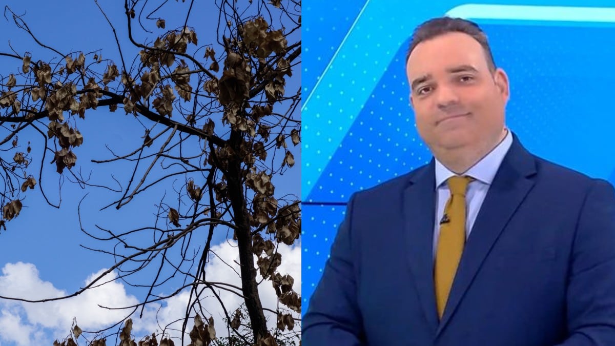 Βουτιά της θερμοκρασίας από τον Κλέαρχο Μαρουσάκη: «Ο υδράργυρος χτυπά 30αρια πριν το μεγάλο…»