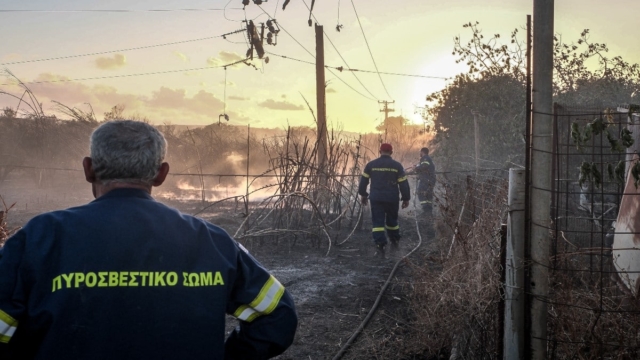 Συναγερμός στη Ρόδο: Φωτιά σε δάσος του νησιού – Σηκώθηκαν εναέρια μέσα