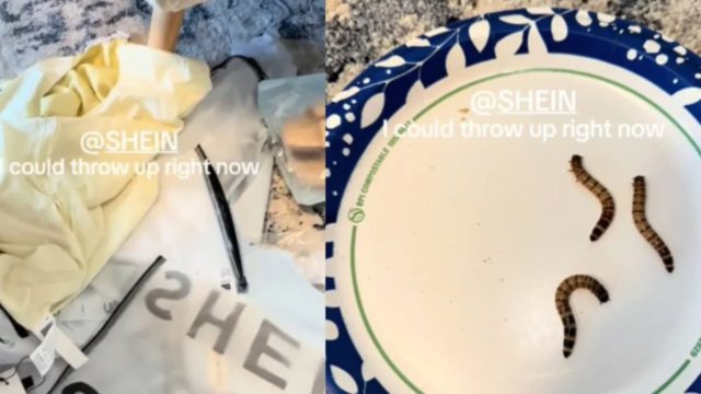 Κανείς δε θα ήθελε να το πάθει: Αγόρασε από το Shein και βρήκε κάτι ανατριχιαστικό στην παραγγελία της (video)