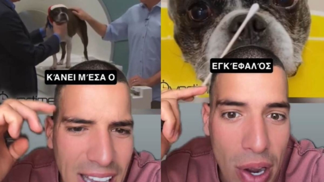 Τα σκυλάκια μας αγαπάνε αληθινά ή μας κοροϊδεύουν; Τομογράφος μπαίνει στον εγκέφαλό τους και καταγράφει τα πάντα (video)