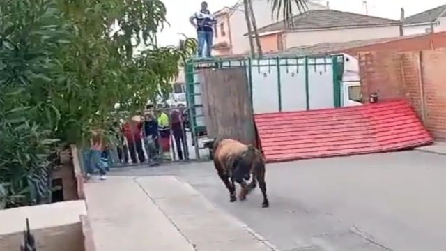 Τραγωδία στην Ισπανία: Ένας νεκρός και τρεις τραυματίες σε υπαίθρια ταυροδρομία (video)