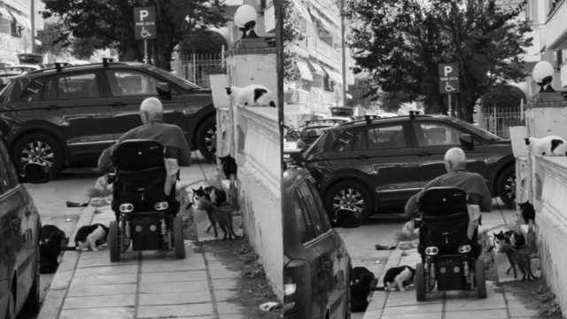 Τραγικό: Τύπος με τζιπ έχει κλείσει το πεζοδρόμιο και δεν μπορεί να περάσει ηλικιωμένος σε αναπηρικό καροτσάκι (video)