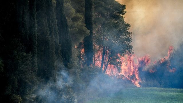 Φωτιά στην Κω μια ανάσα από τον Νοέμβριο – Ήχησε το 112, «Παραμείνετε σε ετοιμότητα»