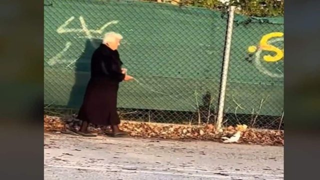 Όντως τώρα; Γιαγιά βγάζει βόλτα… περιστέρι με λουράκι! (video)
