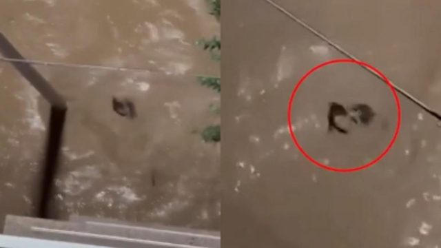 Απόκοσμες εικόνες από τη Βαλένθια: Γυναίκα παρασύρεται από χείμαρρο, αγνοείται η τύχη της (video)