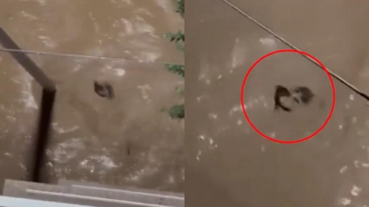 Απόκοσμες εικόνες από τη Βαλένθια: Γυναίκα παρασύρεται από χείμαρρο, αγνοείται η τύχη της (video)