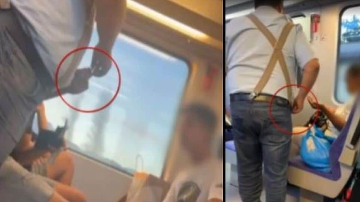 Αθάνατη Hellenic Train: Ελεγκτής «τσεπώνει» χρήματα από λαθροεπιβάτες! Βίντεο ντοκουμέντο