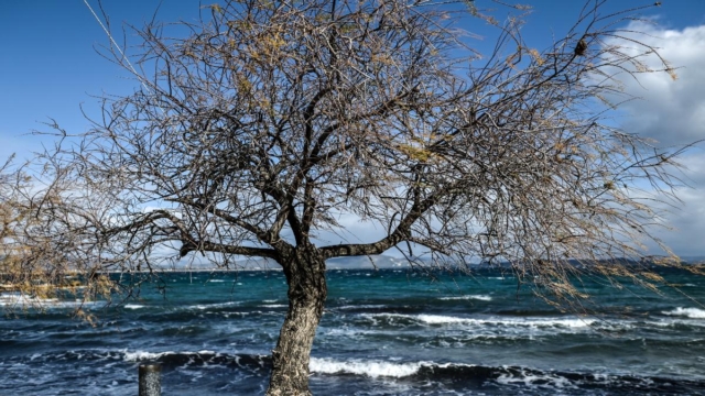 Καιρός σήμερα 20/10: Πέπλο ψύχρας και… τελευταία μέρα χειμώνα η Κυριακή – Αρνιακός και Κολυδάς «γυρίζουν τον διακόπτη»