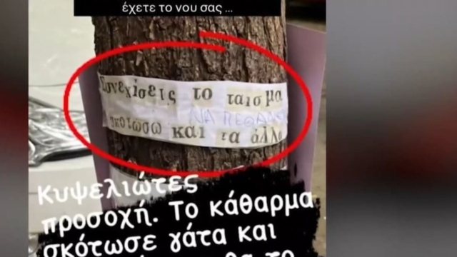 «Θα τα σκοτώνω ένα ένα»: Τρόμος στην Κυψέλη με φονιά αδέσποτων που αποκεφάλισε γατάκι!