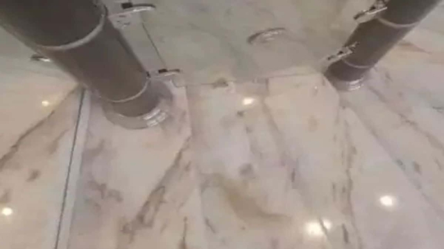 Οπτική ψευδαίσθηση: Μπορείτε να βρείτε τη γάτα σε 5 δευτερόλεπτα;