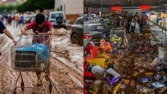 Σπαρακτικές εικόνες στη Βαλένθια: Ψάχνουν νερό και τροφή μέσα στις λάσπες