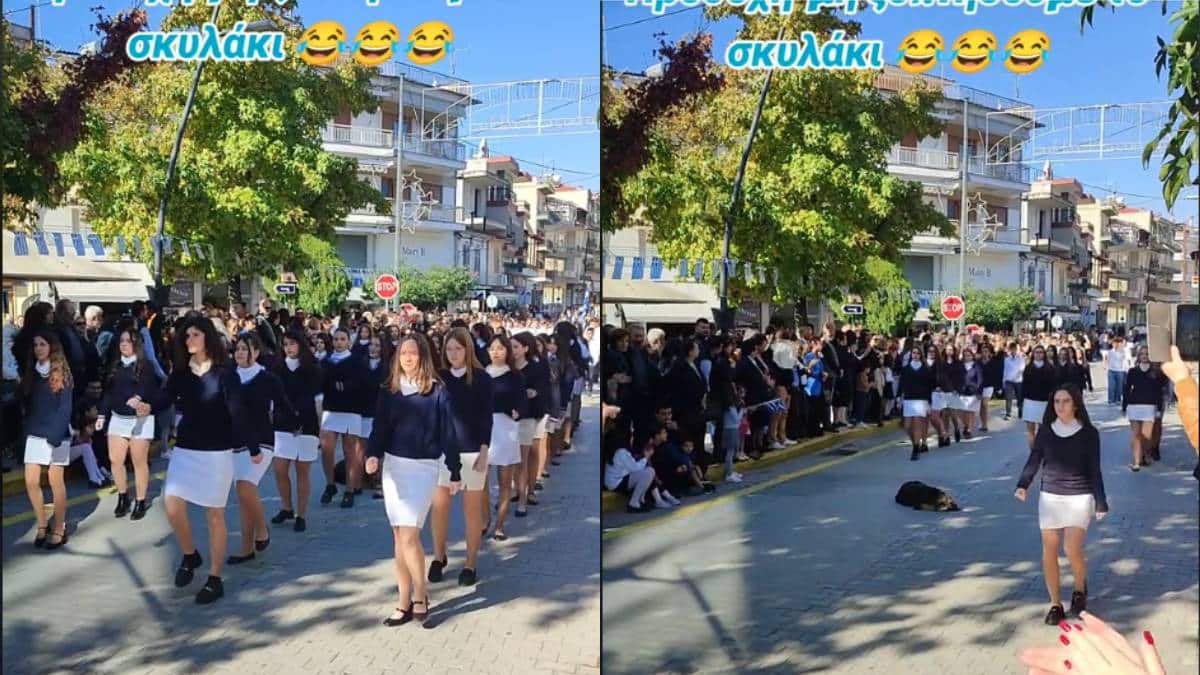 Αριδαία: Υπναράς σκυλάκος δε χαλάει τη ρουτίνα του και κοιμάται όταν κάνουν παρέλαση δίπλα του (video)