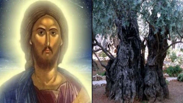 O τόπος στον οποίο προσευχήθηκε για τελευταία φορά ο Χριστός πριν τον μαρτυρικό θάνατο