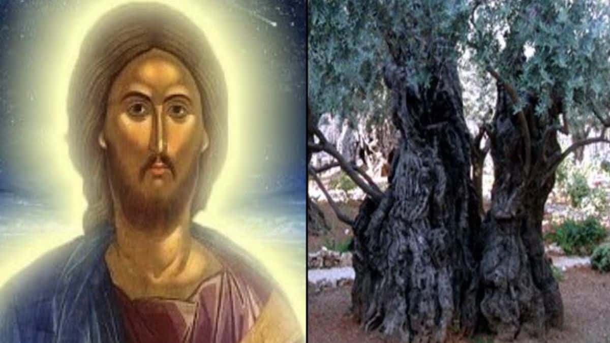 O τόπος στον οποίο προσευχήθηκε για τελευταία φορά ο Χριστός πριν τον μαρτυρικό θάνατο
