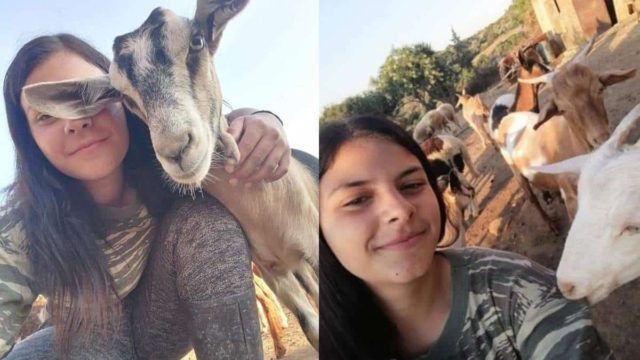 «Τα γίδια δεν τα αφήνω για όλα τα εκατομμύρια του κόσμου» – Η βοσκοπούλα που λατρεύει τη δουλειά της όσο τίποτα