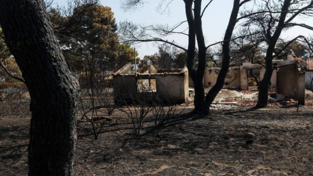 Μάτι: Έθαψαν ανθρώπινα μέλη δίχως ταυτοποίηση μαζί με ζώα; – Οι συγγενείς ζητούν εκταφή