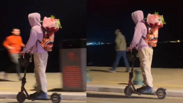 Τύπος πάει να προσφέρει μια τεράστια ανθοδέσμη στην αγαπημένη του και γίνεται viral στο TikTok (video)