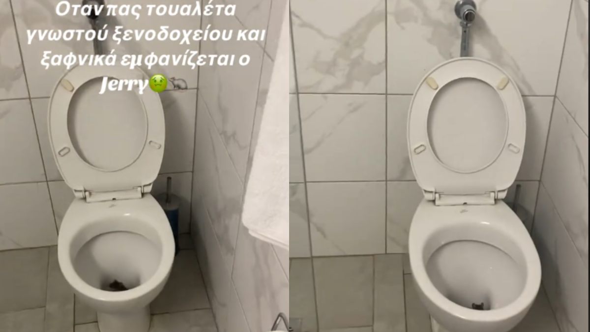Ο χειρότερος εφιάλτης: Τύπος πηγαίνει σε τουαλέτα γνωστού ξενοδοχείου και βρίσκει ποντίκι!