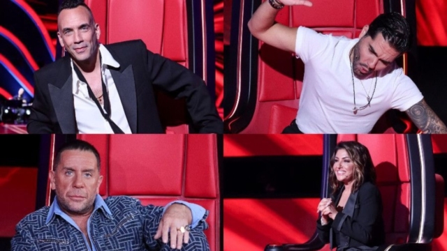 The Voice spoiler: Οι 4 καλλιτέχνες που θα βρεθούν στο πλευρό των κριτών στα επόμενα επεισόδια