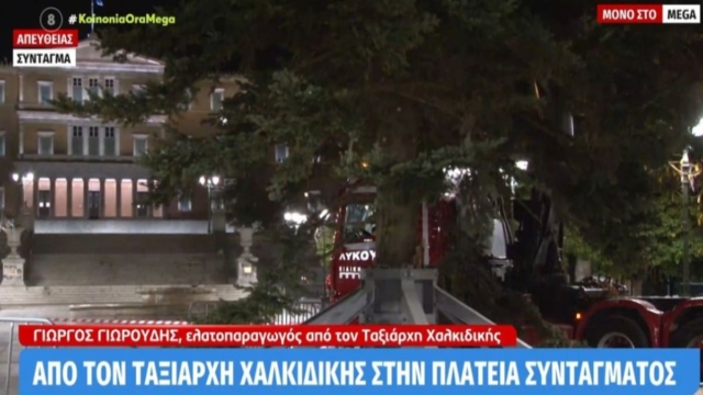 Η Αθήνα βάζει μεγαλοπρεπώς τα γιορτινά της: 19,5 μέτρα το χριστουγεννιάτικο δέντρο στην πλατεία Συντάγματος