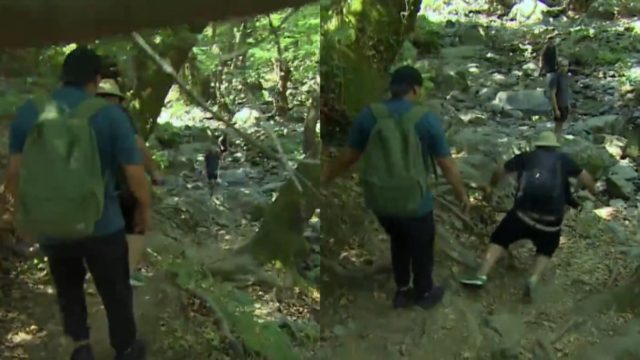 Ο Γρηγόρης Αρναούτογλου «λαχτάρισε» το Χ: Η πτώση που τους σόκαρε όλους