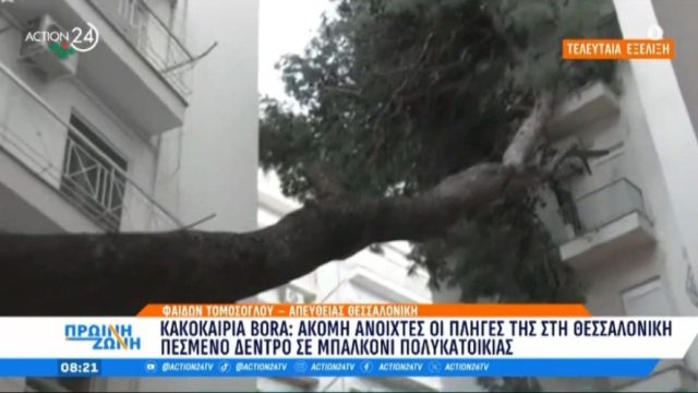 Ανοιχτές οι «πληγές» της κακοκαιρίας Bora στη Θεσσαλονίκη: Πεσμένο δέντρο παραμένει σε μπαλκόνι πολυκατοικίας (video)
