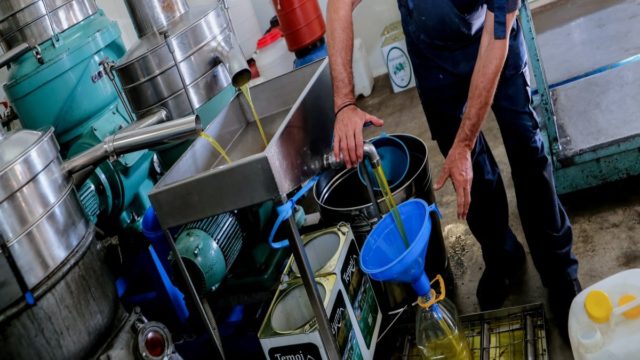 «Κλείδωσε» η τιμή του ελαιόλαδου -Πόσο πάει ο τενεκές σήμερα – Πού αναμένεται να φτάσει το 2025