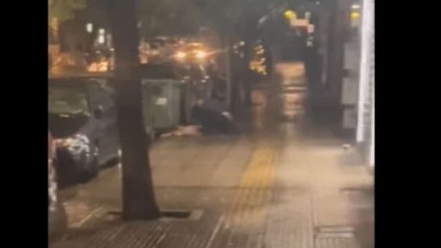 Κτηνωδία στην Κυψέλη: Ο 47χρονος μαχαίρωσε με μανία το σκυλί του – Το μαχαίρι πέρασε από τη μία πλευρά και βγήκε από την άλλη