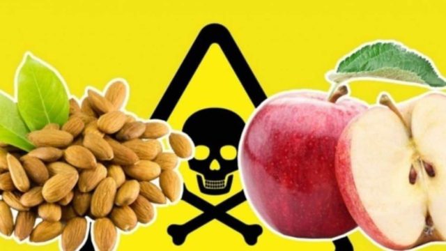 8 τροφές δηλητήριο για την καρδιά – Δείτε ποιες είναι