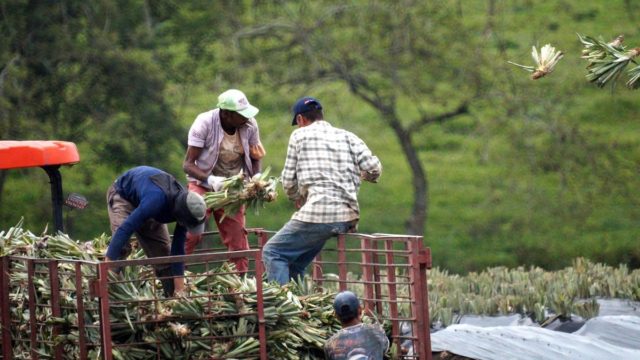 Έρχεται λύση – «κούρεμα» 40% στα αγροτικά δάνεια: Στη Βουλή το νομοσχέδιο μέχρι τέλος Ιανουαρίου