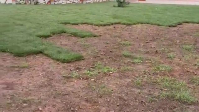 Αν είναι δυνατόν: Έκλεψαν το γκαζόν από παιδική χαρά στην Αργυρούπολη – «Τι θα το κάνεις, θα βοσκήσεις τα πρόβατα;»