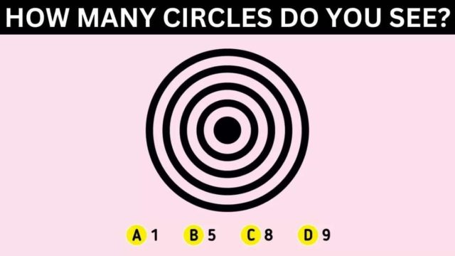 Test IQ: Πόσους κύκλους βλέπεις στην φωτογραφία; Μπορείς να το βρεις σε 5 δευτερόλεπτα;