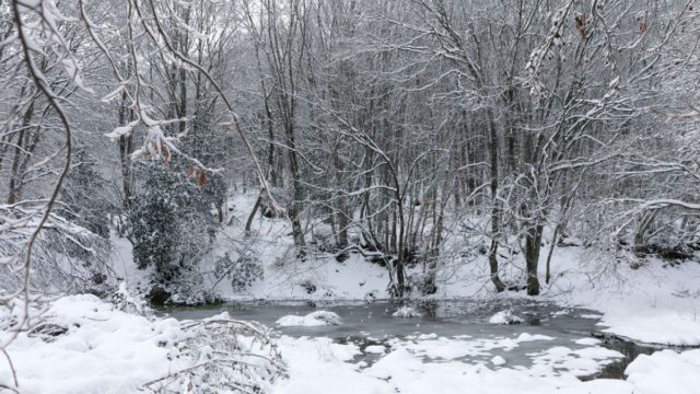 Καιρός: «Ντύθηκαν» στα λευκά Φλώρινα και Μέτσοβο – Πρώτα χιόνια για τους Θεσσαλονικείς, πού παρατηρούνται προβλήματα (video)