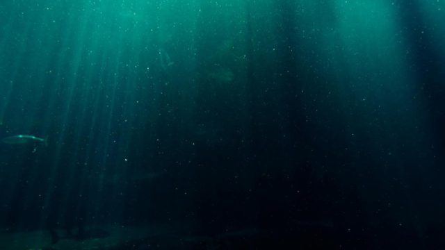 Το αδιανόητο εύρημα της NASA στον πυθμένα του ωκεανού