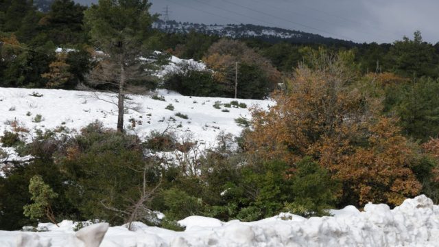 Κλειστή η λεωφόρος Πάρνηθας από το ύψος του τελεφερίκ λόγω χιονιού – Κυκλοφοριακές ρυθμίσεις στην περιοχή