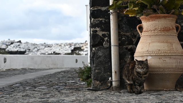 Πότε θα επανέλθει η ομαλή καθημερινότητα στη Σαντορίνη; Έντονη ανησυχία από τα 5 Ρίχτερ, μετά από μέρες ηρεμίας