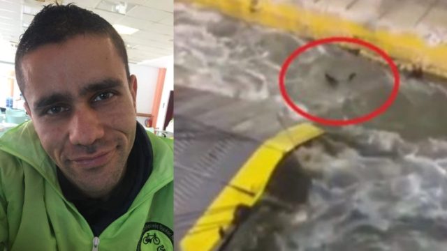«Ξέρω ότι δε βγαίνει κανείς ζωντανός από αυτά τα νερά» – Τι κατέθεσε ο ύπαρχος που έσπρωξε τον Αντώνη Καργιώτη από το πλοίο στον Πειραιά