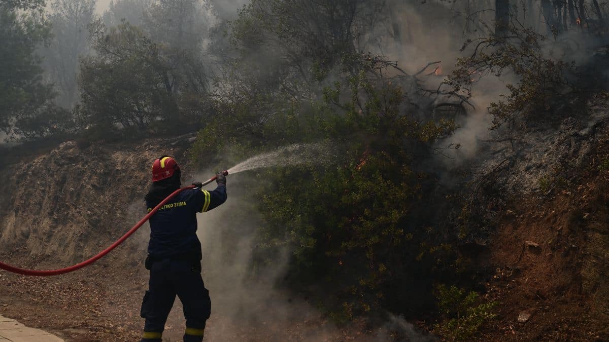 Φωτιά στον Βαρνάβα – Επί τόπου ισχυρή πυροσβεστική δύναμη