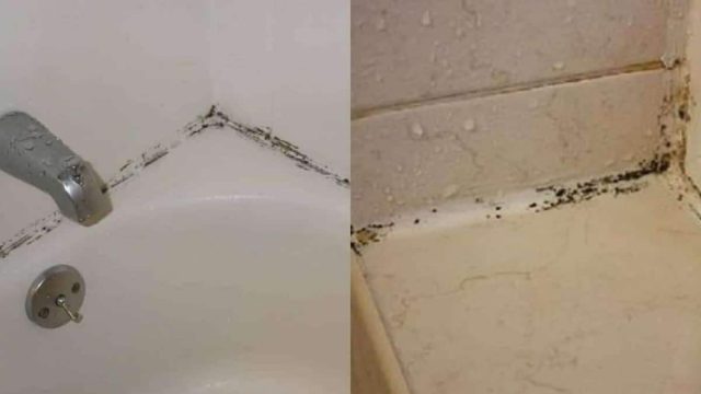 Μούχλα… είχαμε: Το αλάνθαστο κόλπο για να την εξαφανίσετε από το μπάνιο με 1 υλικό
